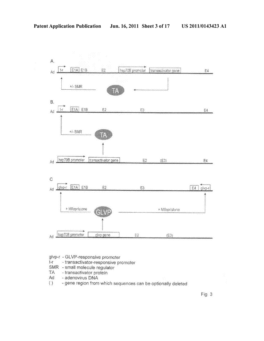 Viral vectors whose replication and, optionally, passenger gene are     controlled by a gene switch activated by heat in the presence or absence     of a small-molecule regulator - diagram, schematic, and image 04