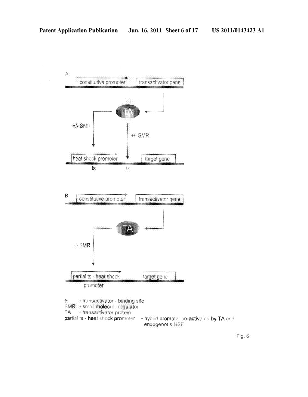 Viral vectors whose replication and, optionally, passenger gene are     controlled by a gene switch activated by heat in the presence or absence     of a small-molecule regulator - diagram, schematic, and image 07