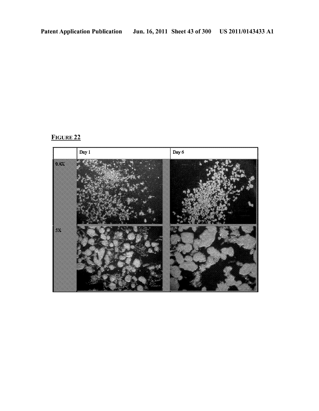 Microcarriers for Stem Cell Culture - diagram, schematic, and image 44