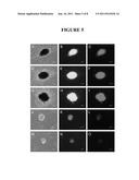 COMPOSITIONS AND METHODS FOR REPROGRAMMING EUKARYOTIC CELLS diagram and image