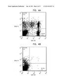 METHOD FOR USING DIRECTING CELLS FOR SPECIFIC STEM/PROGENITOR CELL     ACTIVATION AND DIFFERENTIATION diagram and image