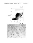 METHOD FOR USING DIRECTING CELLS FOR SPECIFIC STEM/PROGENITOR CELL     ACTIVATION AND DIFFERENTIATION diagram and image