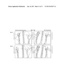 METHOD FOR USING DIRECTING CELLS FOR SPECIFIC STEM/PROGENITOR CELL     ACTIVATION AND DIFFERENTIATION diagram and image