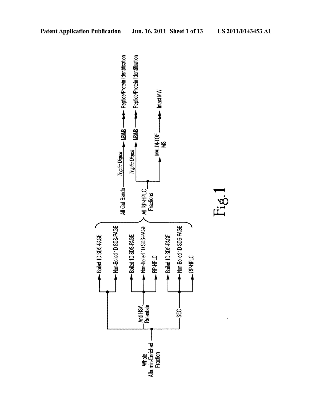 ALBUMIN-BOUND PROTEIN/PEPTIDE COMPLEX AS A BIOMARKER FOR DISEASE - diagram, schematic, and image 02