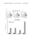 Diagnosis/Treatment Option for Head-and-Neck Tumor Using Micro-RNA as     Biomarker diagram and image