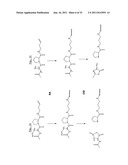 MASS MARKERS AND METHODS diagram and image