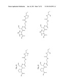 MASS MARKERS AND METHODS diagram and image