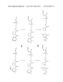 MASS MARKERS AND METHODS diagram and image