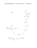 MASS MARKERS AND METHODS diagram and image