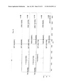 MASS MARKERS AND METHODS diagram and image