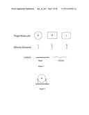 Synthetic Antibodies diagram and image