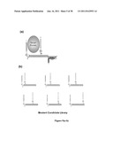 Synthetic Antibodies diagram and image