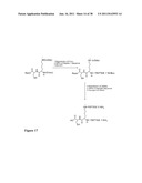 Synthetic Antibodies diagram and image