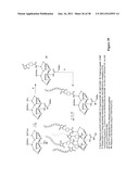 Synthetic Antibodies diagram and image