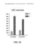 Methods of Identifying Modulators of Ubiquitin Ligases diagram and image