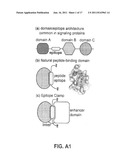 MOLECULAR AFFINITY CLAMP TECHNOLOGY AND USES THEREOF diagram and image