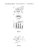 MOLECULAR AFFINITY CLAMP TECHNOLOGY AND USES THEREOF diagram and image