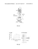 MOLECULAR AFFINITY CLAMP TECHNOLOGY AND USES THEREOF diagram and image