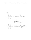 SURFACE MODIFICATIONS AND METHODS FOR THEIR SYNTHESIS AND USE diagram and image