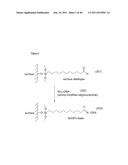 SURFACE MODIFICATIONS AND METHODS FOR THEIR SYNTHESIS AND USE diagram and image