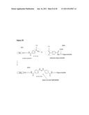 SURFACE MODIFICATIONS AND METHODS FOR THEIR SYNTHESIS AND USE diagram and image