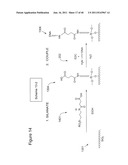 SURFACE MODIFICATIONS AND METHODS FOR THEIR SYNTHESIS AND USE diagram and image