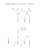 SURFACE MODIFICATIONS AND METHODS FOR THEIR SYNTHESIS AND USE diagram and image