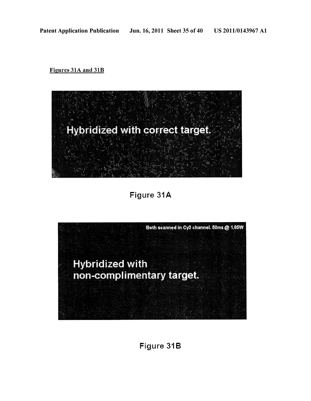 SURFACE MODIFICATIONS AND METHODS FOR THEIR SYNTHESIS AND USE - diagram, schematic, and image 36