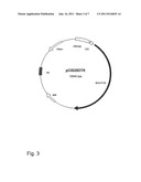 Methods of Reducing Hemorrhage Due to Surgical Procedure diagram and image