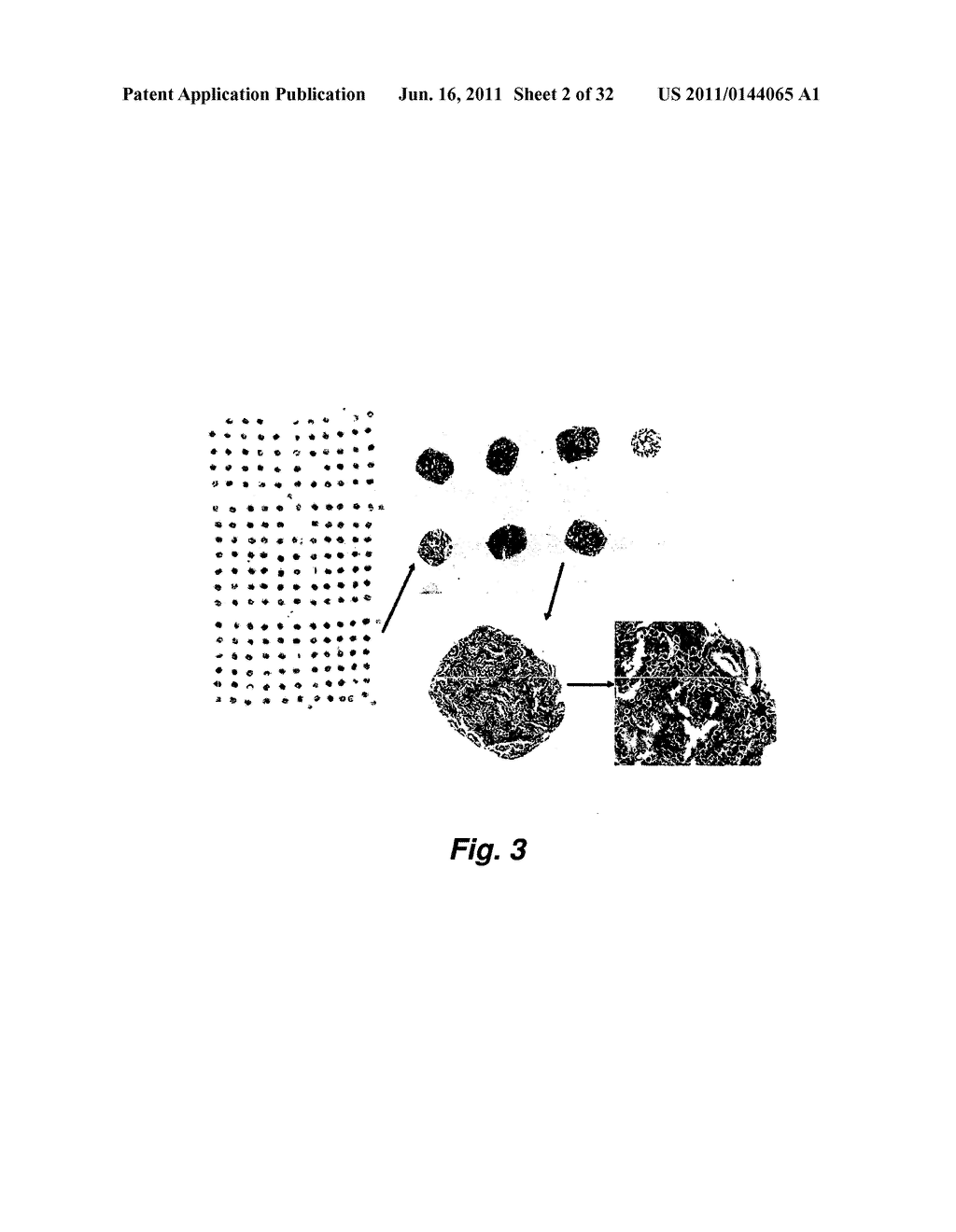 SELECTIVE HIGH-AFFINITY POLYDENTATE LIGANDS AND METHODS OF MAKING SUCH - diagram, schematic, and image 03
