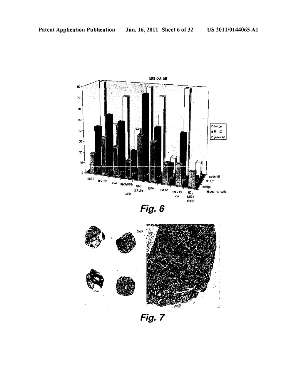 SELECTIVE HIGH-AFFINITY POLYDENTATE LIGANDS AND METHODS OF MAKING SUCH - diagram, schematic, and image 07