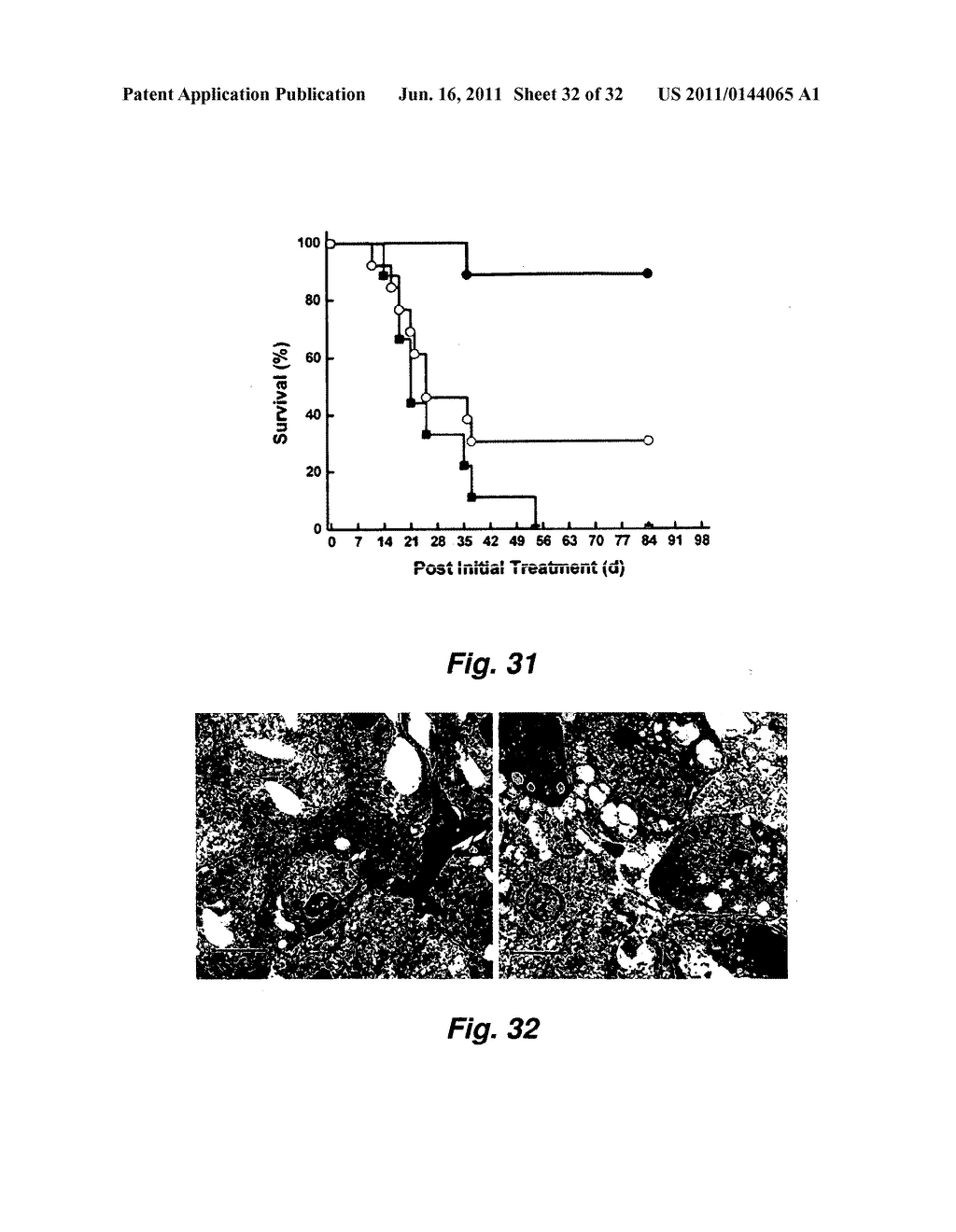 SELECTIVE HIGH-AFFINITY POLYDENTATE LIGANDS AND METHODS OF MAKING SUCH - diagram, schematic, and image 33