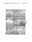 Substituted Heterocyclic Mercaptosulfonamide Metalloprotease Inhibitors diagram and image