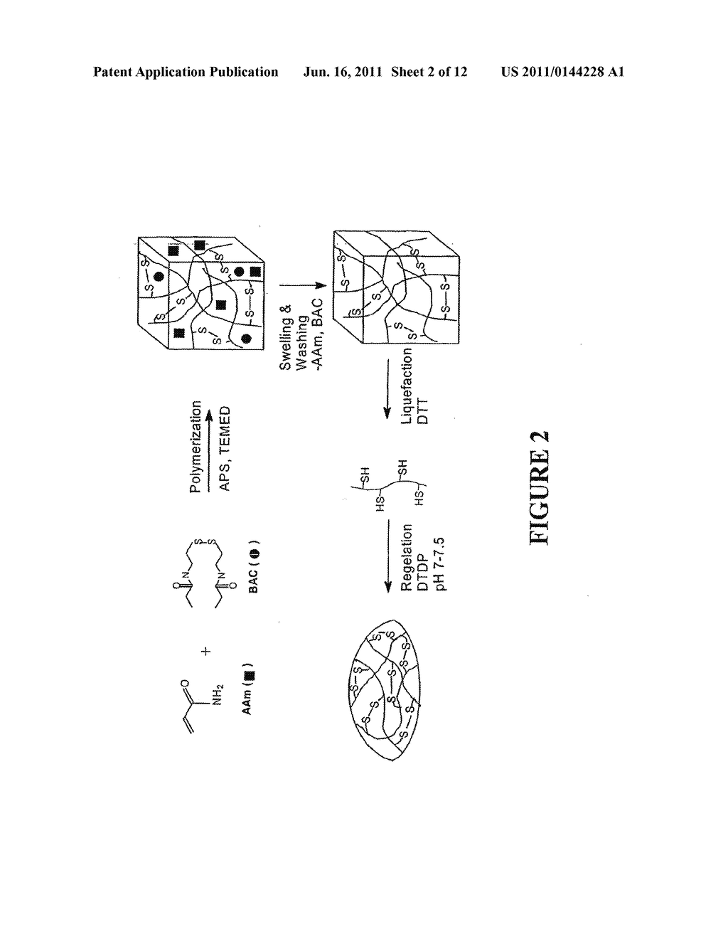 HYDROGEL NANOCOMPOSITES FOR INTRAOCULAR LENS APPLICATONS - diagram, schematic, and image 03