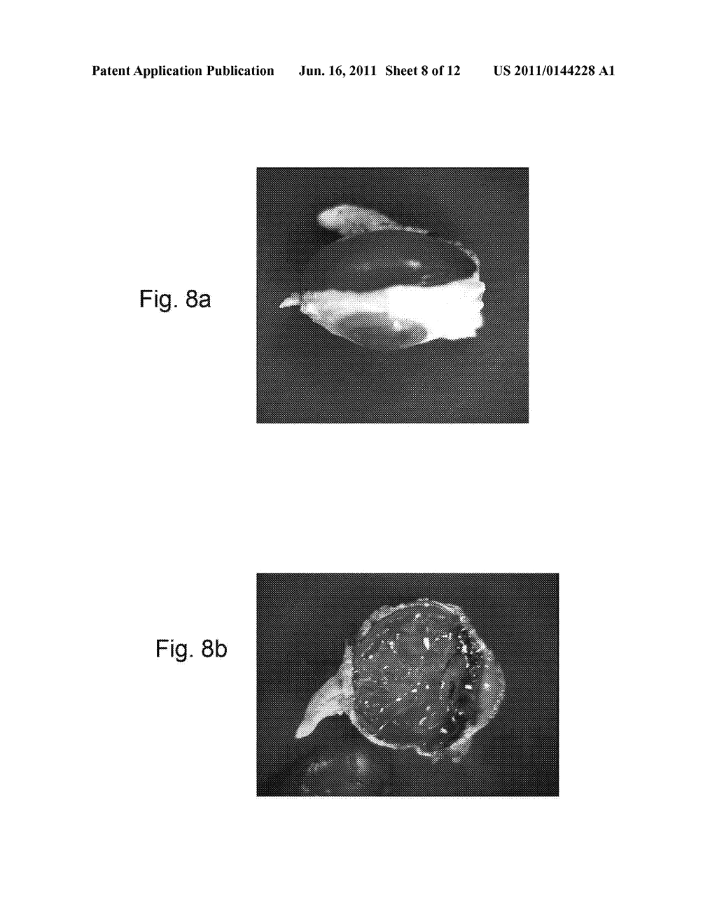 HYDROGEL NANOCOMPOSITES FOR INTRAOCULAR LENS APPLICATONS - diagram, schematic, and image 09