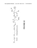 HYDROGEL NANOCOMPOSITES FOR INTRAOCULAR LENS APPLICATONS diagram and image