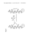 LIGATION OF STAPLED POLYPEPTIDES diagram and image