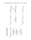 LIGATION OF STAPLED POLYPEPTIDES diagram and image