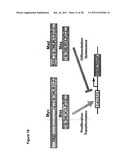 LIGATION OF STAPLED POLYPEPTIDES diagram and image