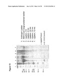 LIGATION OF STAPLED POLYPEPTIDES diagram and image