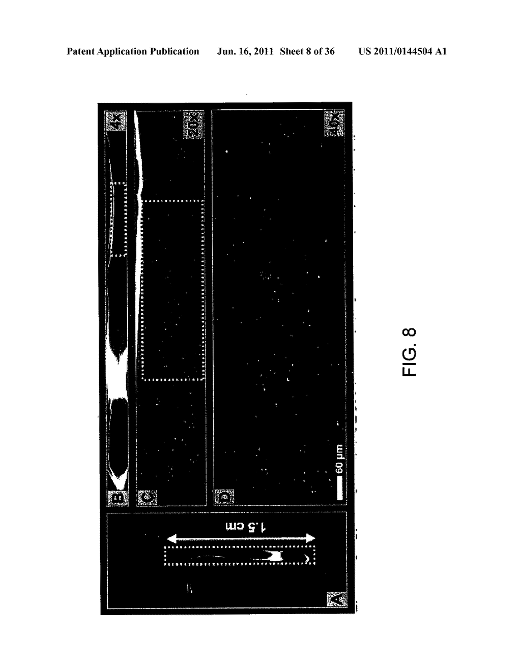 METHOD AND APPARATUS FOR OPTICAL IMAGING VIA SPECTRAL ENCODING - diagram, schematic, and image 09