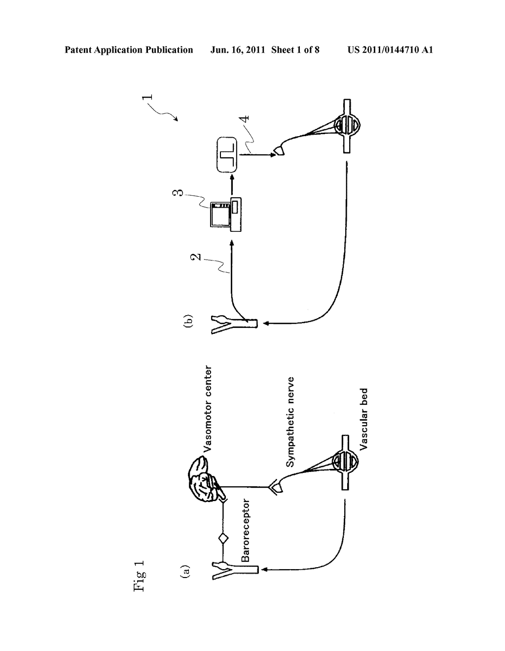 CARDIAC PACING SYSTEM BY SUBSTITUTING NATIVE BIOLOGICAL REGULATORY     FUNCTION - diagram, schematic, and image 02