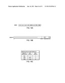 DEFERRED PAGE CLEARING IN A MULTIPROCESSOR COMPUTER SYSTEM diagram and image