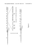 Mice That Make Heavy Chain Antibodies diagram and image