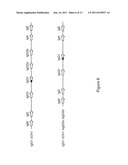 Mice That Make Heavy Chain Antibodies diagram and image