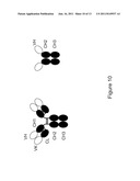 Mice That Make Heavy Chain Antibodies diagram and image