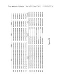 Mice That Make Heavy Chain Antibodies diagram and image