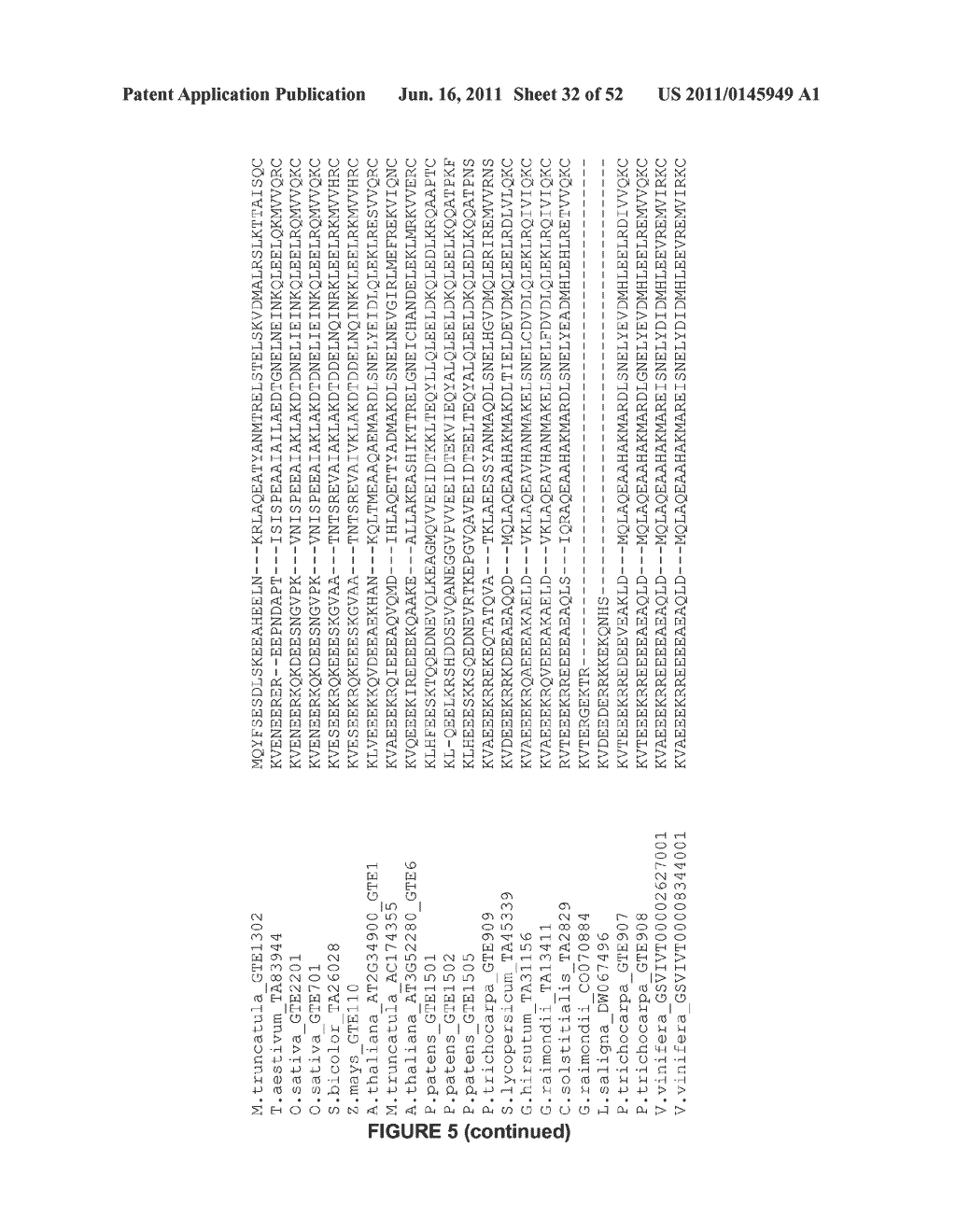 Plants Having Enhanced Yield-Related Traits and a Method for Making the     Same - diagram, schematic, and image 33