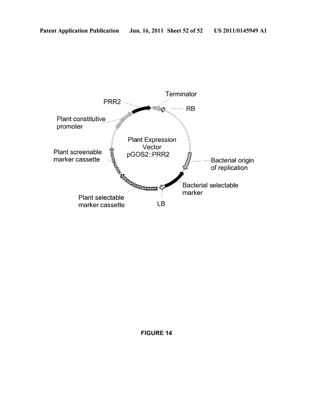 Plants Having Enhanced Yield-Related Traits and a Method for Making the     Same - diagram, schematic, and image 53