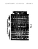 LOW-RUNNING TEMPERATURE TYRE diagram and image